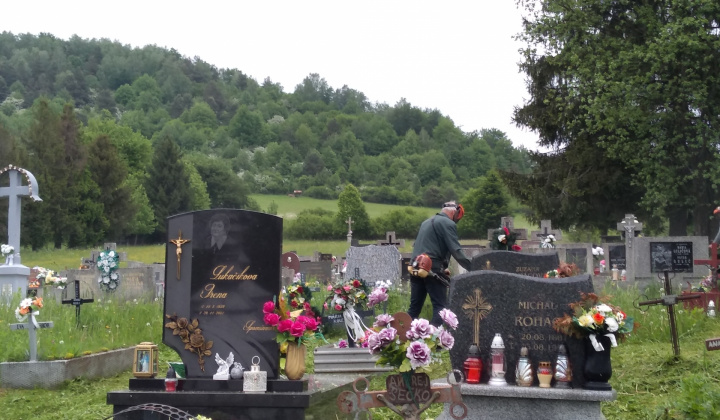KOSENIE CINTORÍNA